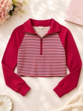 Pilcro Striped Half-Zip Cropped Sweater Burgundy XS Casual